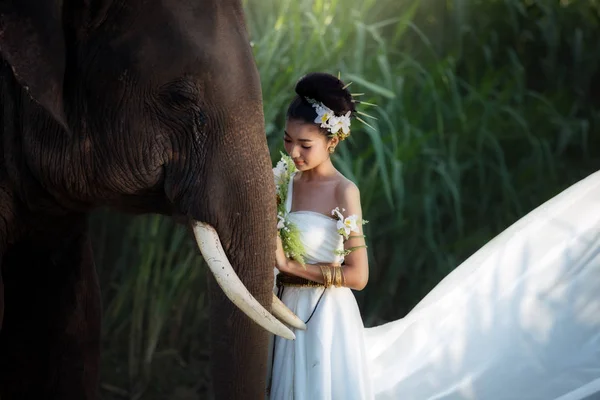 Femme et éléphants événement mode concept portrait — Photo