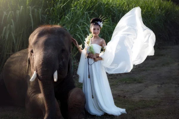 Femme et éléphants événement mode concept portrait — Photo