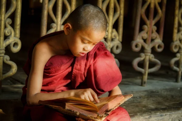 BURMA Piccolo monaco o monaco novizio stanno leggendo il libro — Foto Stock