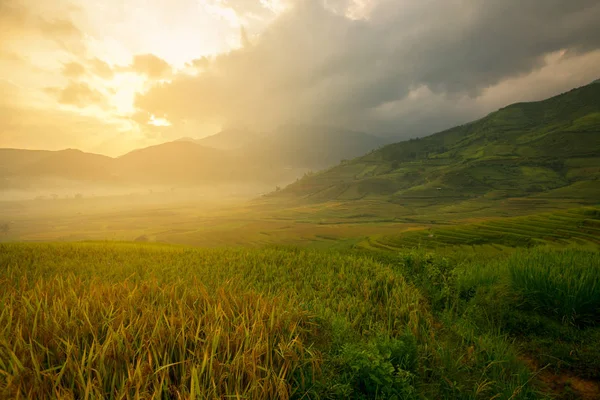 Вьетнам Солнечный пейзаж рисовая терраса на горе в Ту Ле — стоковое фото