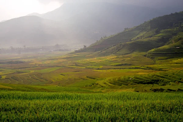 Vietnã paisagem arroz terraço na montanha em Tu Le City — Fotografia de Stock