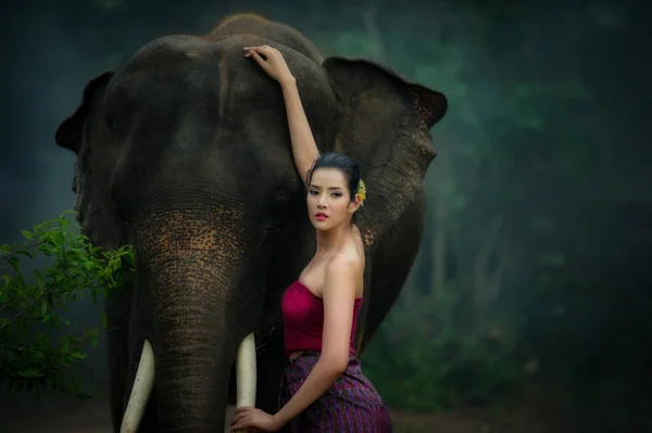 Tailandês belas mulheres em vestido tradicional e elefante em selvagem — Fotografia de Stock