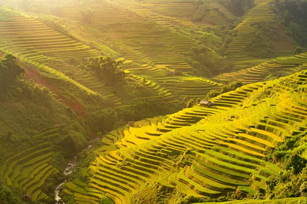 Agriculture rice terrace on mountain beautiful landscape