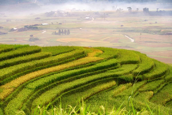 Vietname Terraço de arroz em Tu Le Yen Bai — Fotografia de Stock