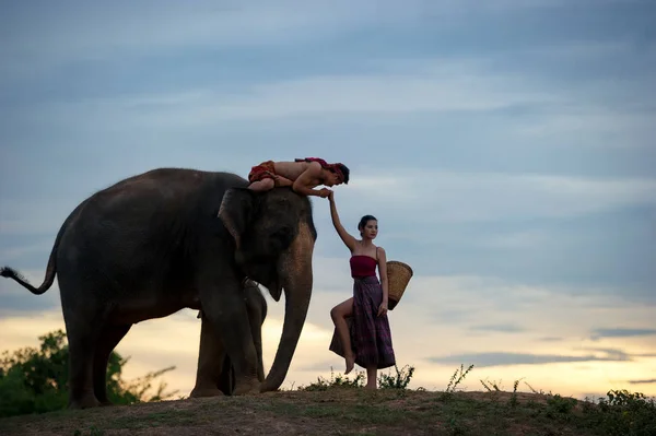 Νεαρό ζευγάρι Ταϊλάνδης με ελέφαντα — Φωτογραφία Αρχείου