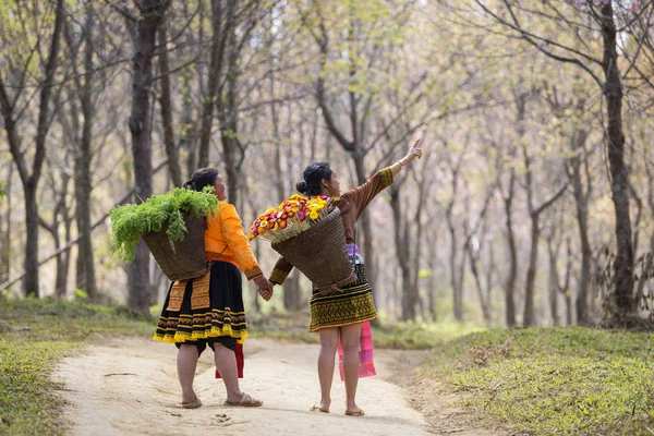 Hmong Hilltribe Lifestyle Phetchabun Tailândia Maioria Deles Trabalha Agricultura Simples — Fotografia de Stock