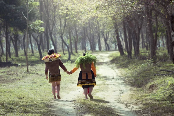 Hmong Hilltribe Lifestyle Phetchabun Tailândia Maioria Deles Trabalha Agricultura Simples — Fotografia de Stock