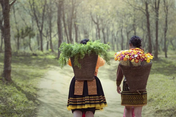 Hmong Hilltribe Életmód Phetchabun Thaiföld Legtöbbjük Dolgozik Mezőgazdaságban Egyszerű Élet — Stock Fotó