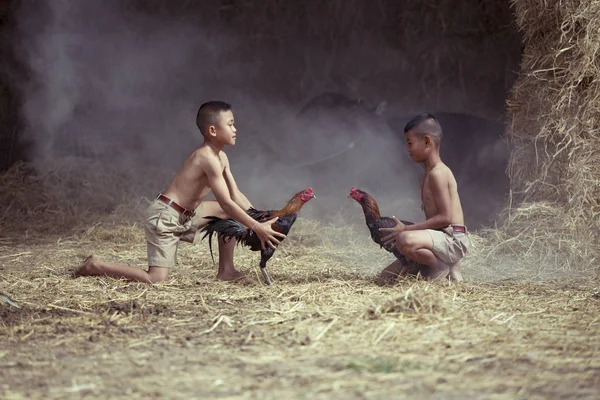 Gamecocks Traditional sport of asian