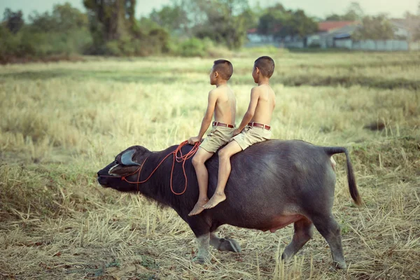 Tailândia e o estilo de vida das crianças que vivem em áreas rurais — Fotografia de Stock