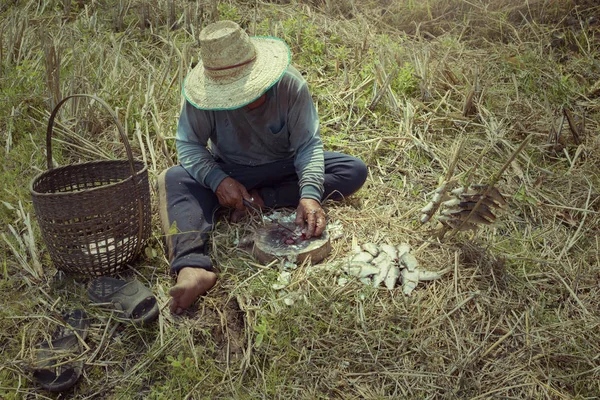 O modo de vida das pessoas rurais na Tailândia — Fotografia de Stock