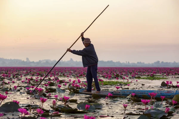 Pescador silhueta estão trabalhando no lago ao nascer do sol . — Fotografia de Stock