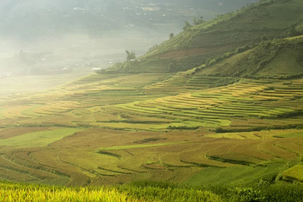Campo de arroz terraço paisagem — Fotografia de Stock