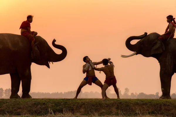 Tradição lutador silhueta Thai boxe ou Muay-Thai ba ao ar livre — Fotografia de Stock