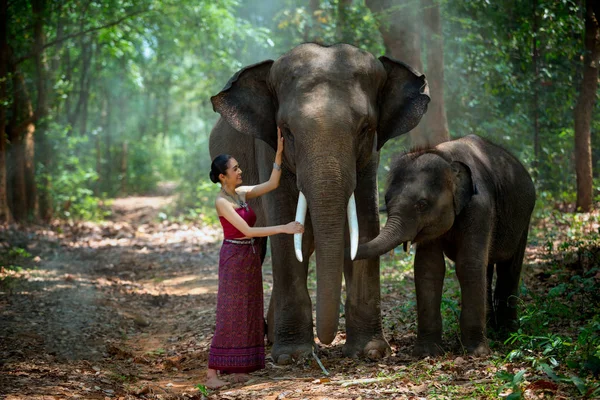 Thailand safari Stock Photos, Royalty Free Thailand safari Images | Depositphotos Thailand safari Stock Photos, Royalty Free Thailand safari Images | Depositphotos