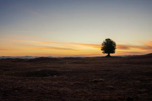 Nascer do sol hora dourada e árvore bela paisagem — Fotografia de Stock