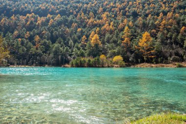 Mavi Ay Vadisi Lijiang Yunnan, Çin.