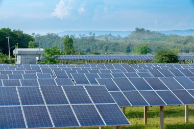 Güneş paneli çiftliğindeki fotovoltaik hücreler
