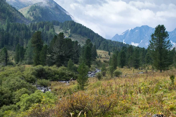 Річки в гори Алтай, Росія — стокове фото