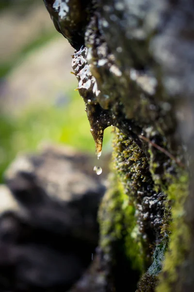 Falling drop from the stone — Stock Photo, Image