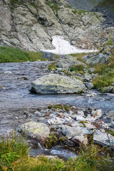 阿尔泰山脉的河流 — 图库照片