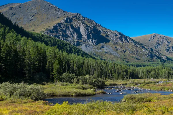 Krepkaya river i Altai-bergen, Ryssland — Stockfoto