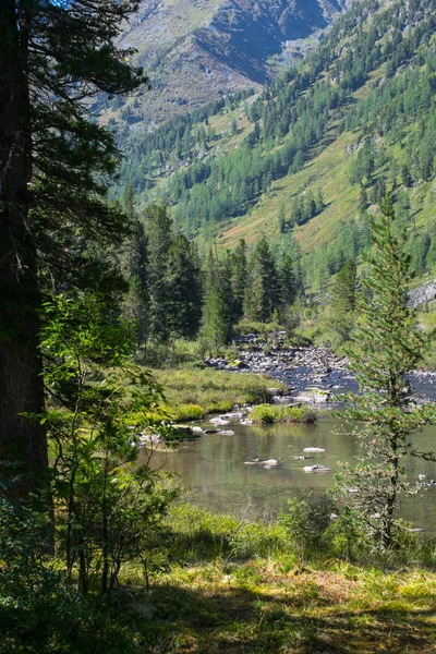 Rivière dans les montagnes de l'Altaï, Russie — Photo