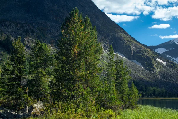 Altai mountains in Russia — Stock Photo, Image