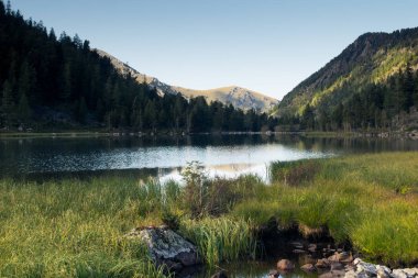 Göl banka, Altay Dağları, Rusya Federasyonu