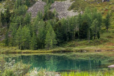Altay Dağları, Rusya bankada Gölü