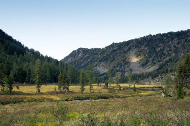 Rusya Altay Dağları