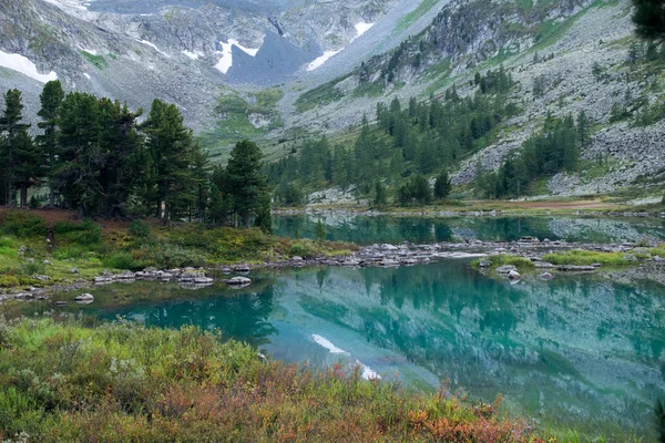 Lake bank in de bergen van Altai, Rusland — Stockfoto