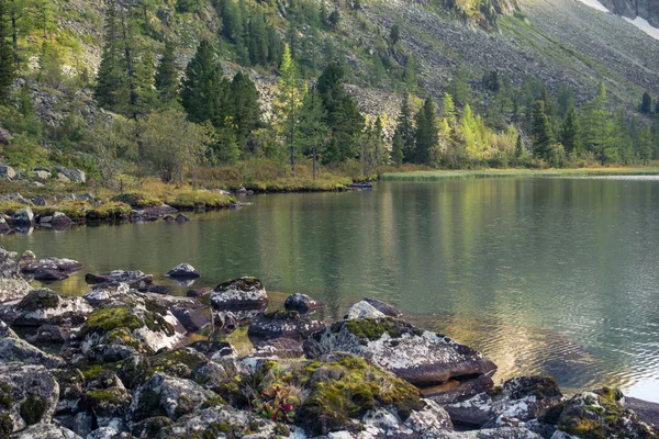 Lake bank in the Altai mountains, Russia — Stock Photo, Image