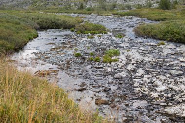 Nehirde Altay Dağları, Rusya Federasyonu