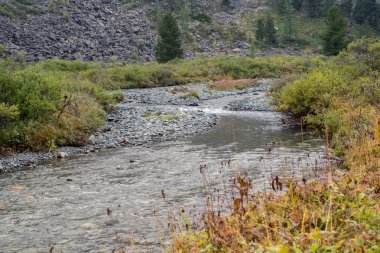 Nehirde Altay Dağları, Rusya Federasyonu