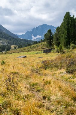 Rusya Altay Dağları