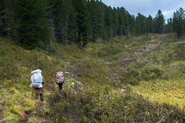 Backpackers Altay Dağları, Rusya Federasyonu