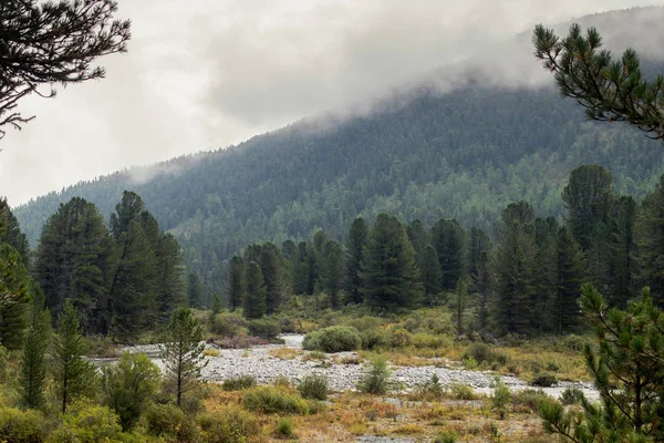 Rivière dans les montagnes de l'Altaï, Russie — Photo