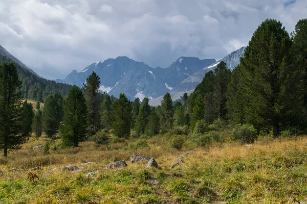 러시아의 알타이 산맥 — 스톡 사진