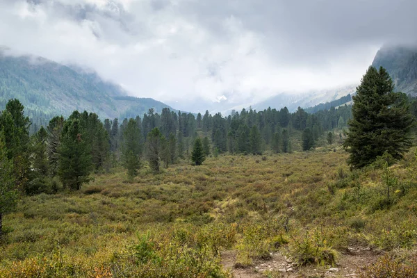 Altai Βουνά μέσα Ρωσία — Φωτογραφία Αρχείου