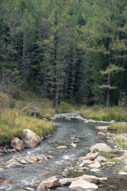 Altay Dağları, Rusya ülkede yol üzerindeki çamur akış