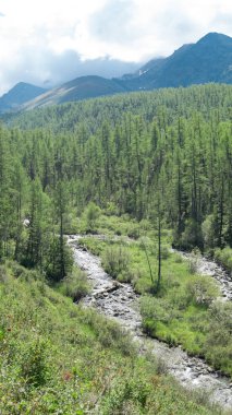 Altay, Rusya nehirde dağ