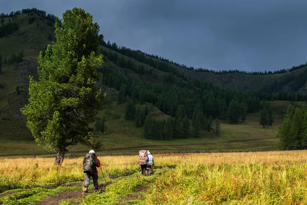 Turisté v pohoří Altaj, Rusko — Stock fotografie