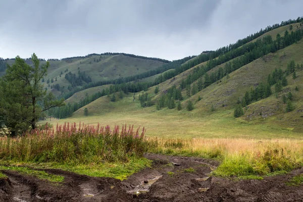 Route sale dans la montagne de l'Altaï, Russie — Photo