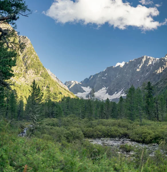 Гірська річка в Алтай, Росія — стокове фото