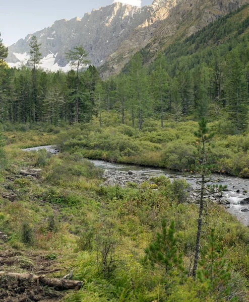 Гірська річка в Алтай, Росія — стокове фото