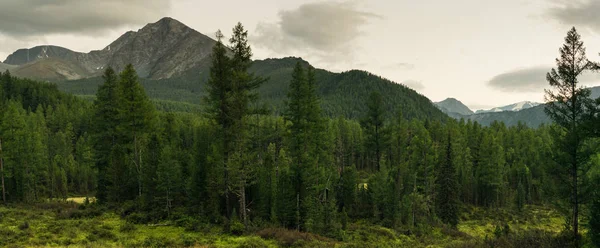 Panorama des montagnes de l'Altaï — Photo