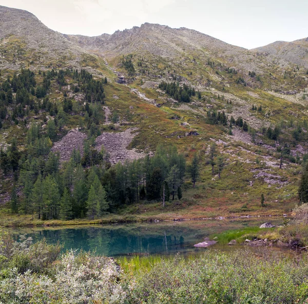 Jezero v horách Altai, Rusko — Stock fotografie