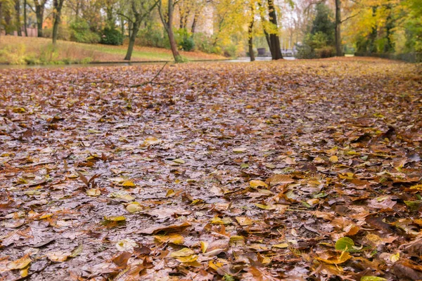Goldener Herbst im Minnewater Park in Brügge, Belgien — Stockfoto