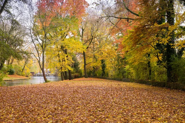 Golden autumn in Minnewater park in Bruges, Belgium — Stock Photo, Image